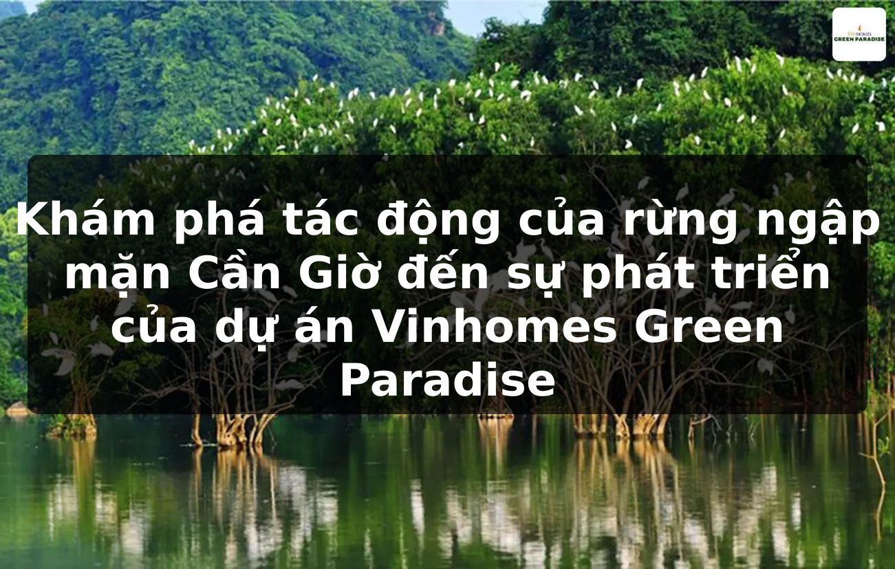 Khám phá tác động của rừng ngập mặn Cần Giờ đến sự phát triển của dự án Vinhomes Green Paradise