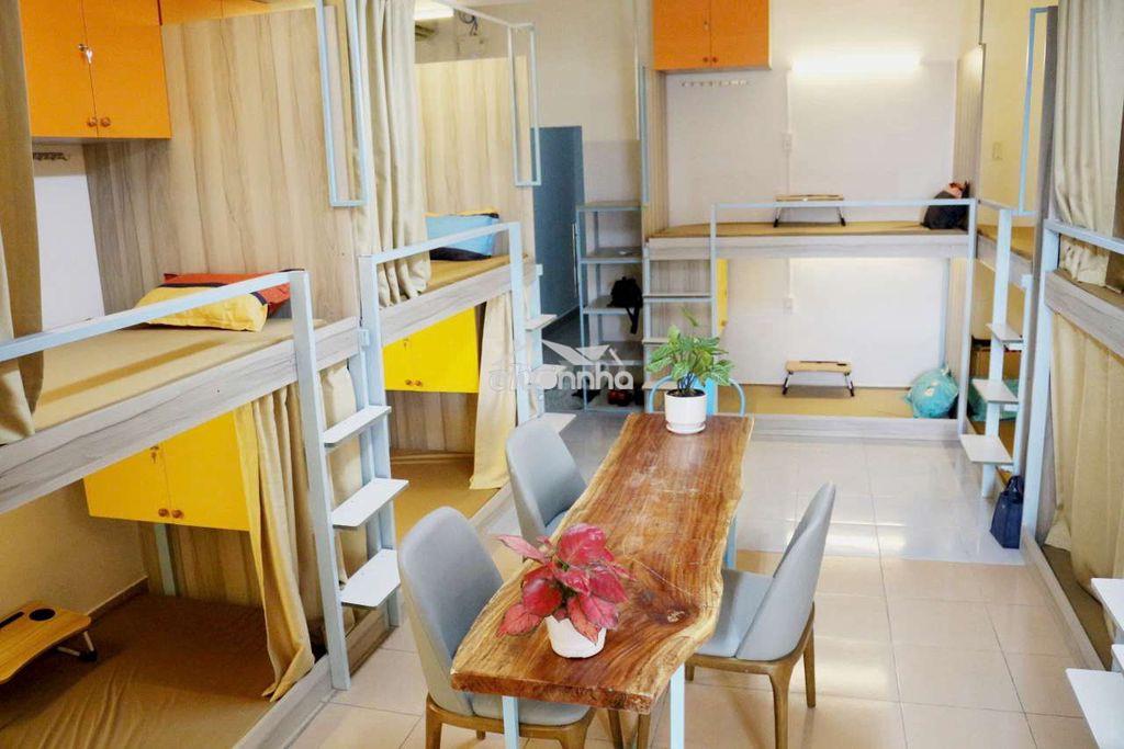 Ở ghép và thuê nguyên căn: So sánh chi tiết, chọn lựa phù hợp