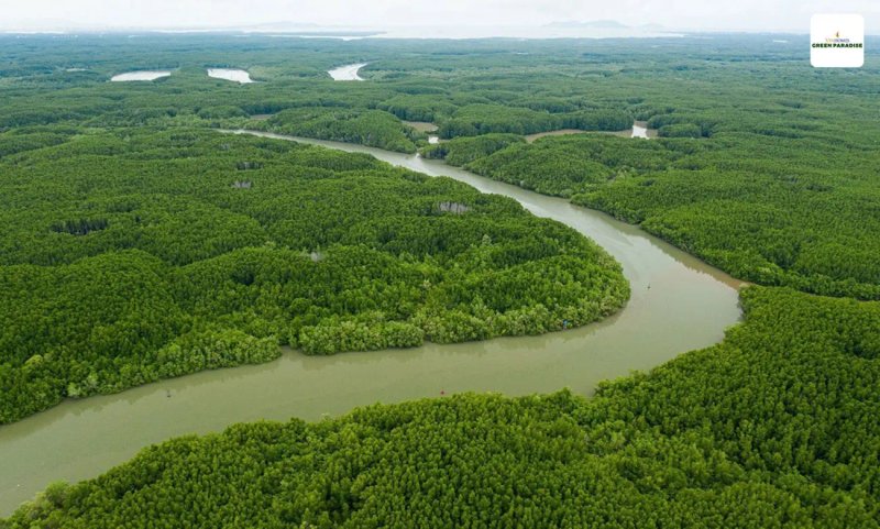 image-can-gio-tiem-nang-vung-loi-bds-ve-tinh-tp-hcm-30