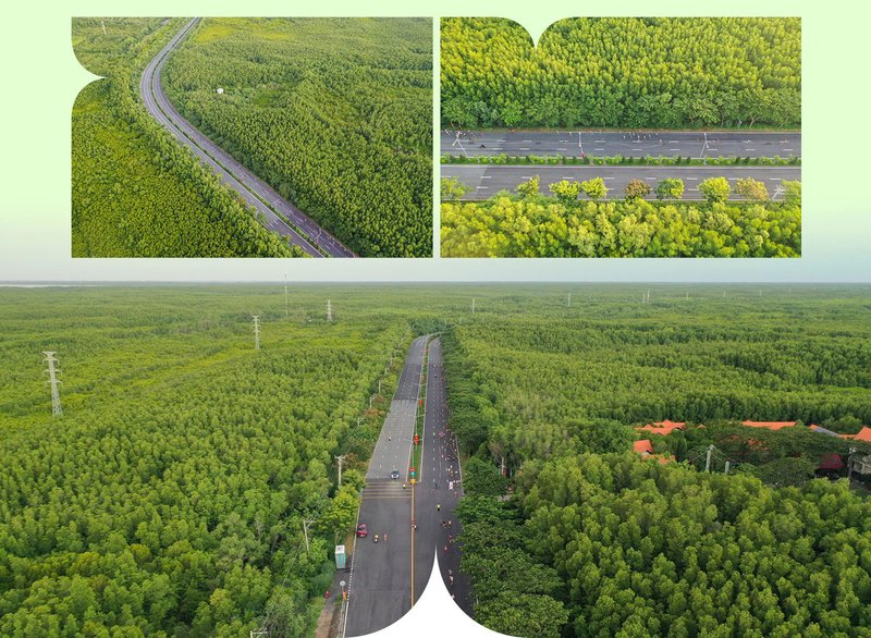 image-vinhomes-can-gio-kham-pha-quy-mo-sieu-du-an-bien-doi-vung-bien-50